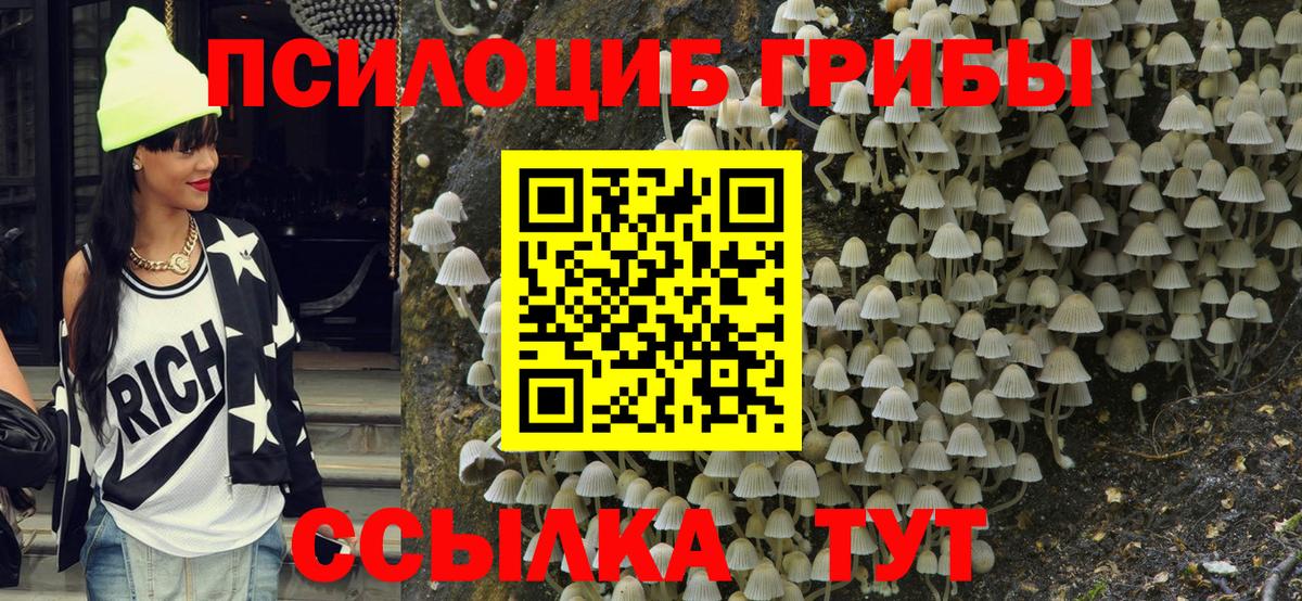 Ессентуки  Псилоцибиновые грибы Magic Shrooms  где купить наркоту  Вход с VPN 