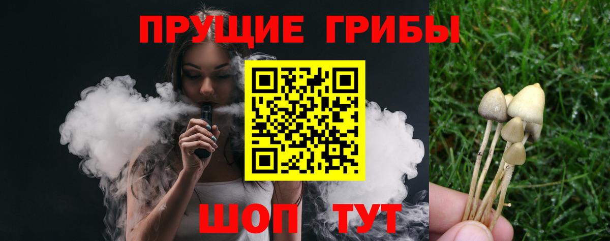 Галлюциногенные грибы Cubensis Ессентуки